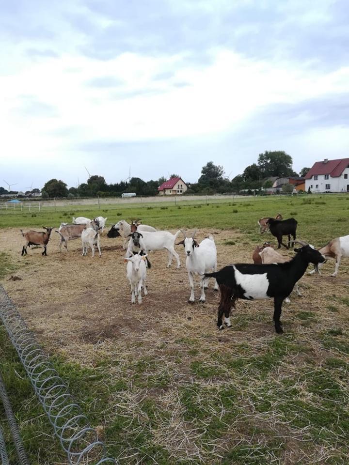 Dworek Nadmorski Bobolin Esterno foto